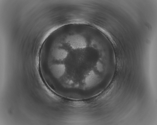 X0000113941383200909251231