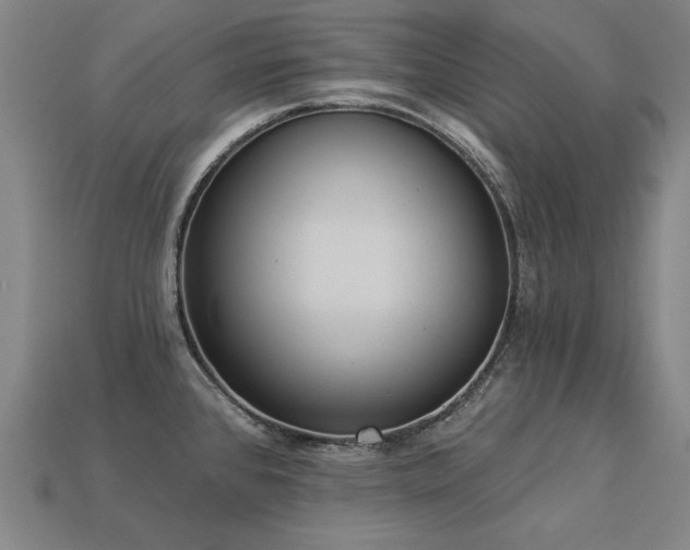 X0000113941384200909251231