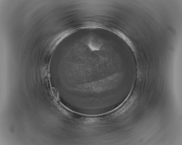 X0000113941385200909251231