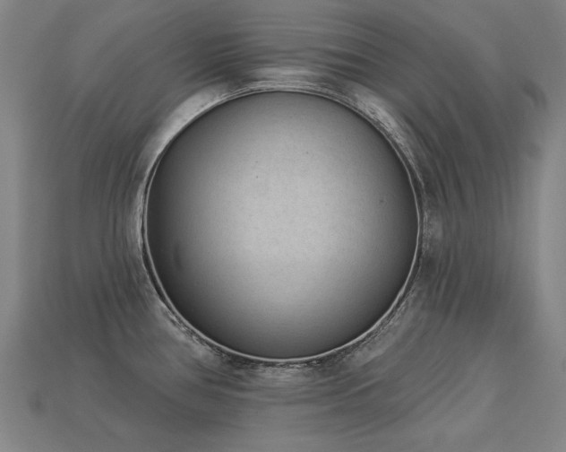 X0000113941386200909251231