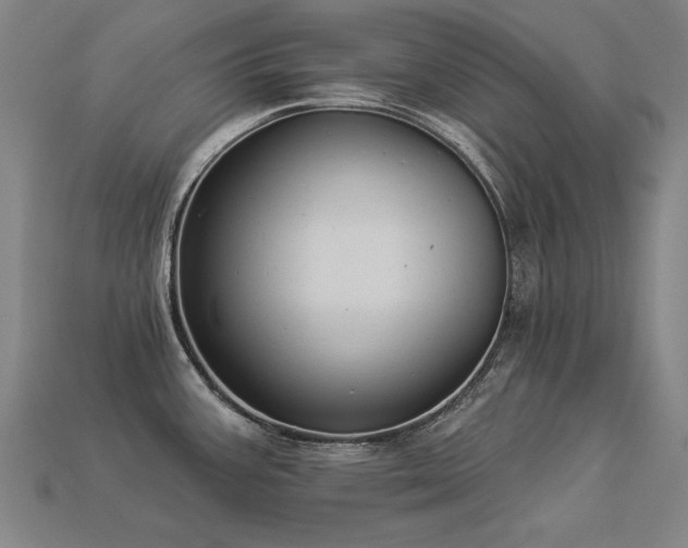 X0000113941387200909251231