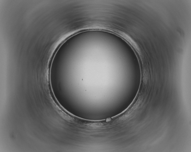 X0000113941388200909251231