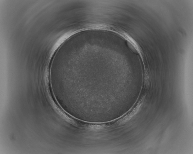 X0000113941389200909251231