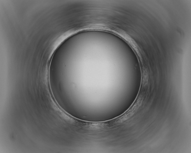X0000113941390200909251231