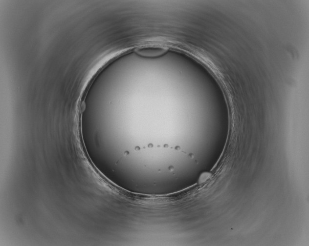 X0000113941392200909251231