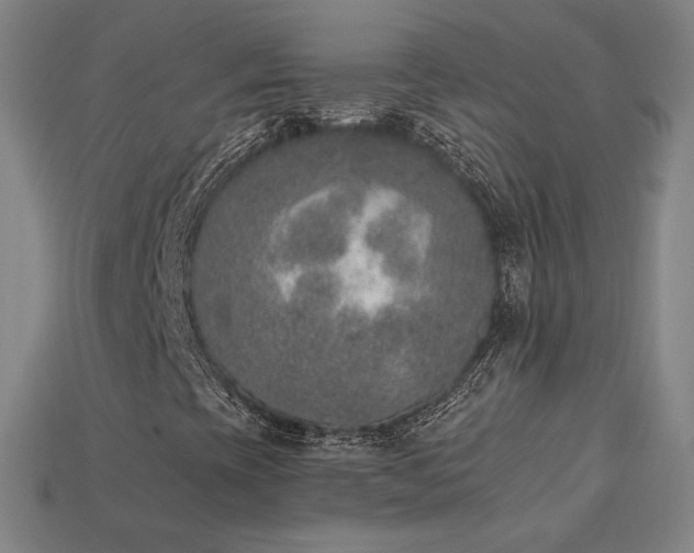 X0000113941393200909251230