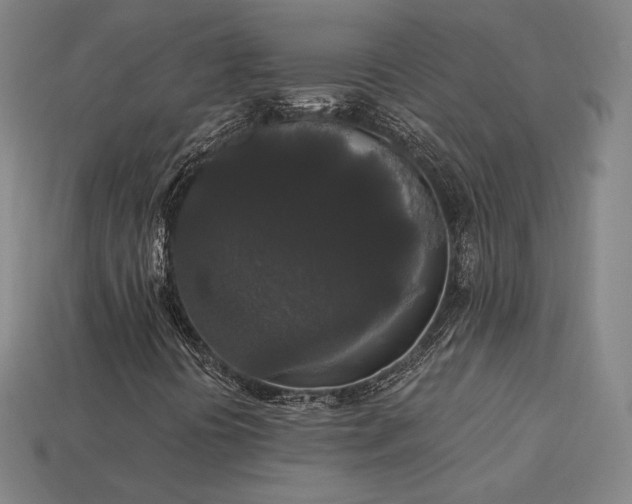 X0000113941394200909251230