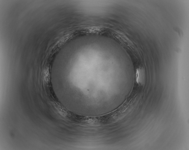X0000113941395200909251230