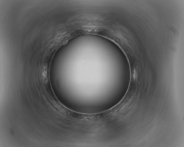 X0000113941396200909251230