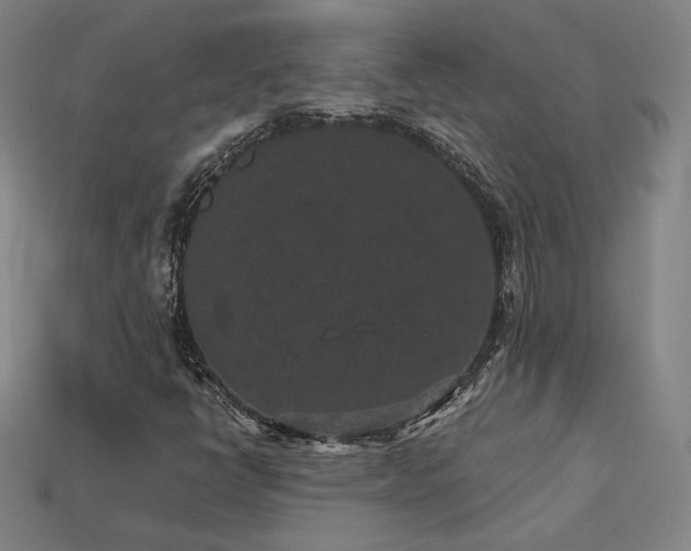 X0000113941398200909251230