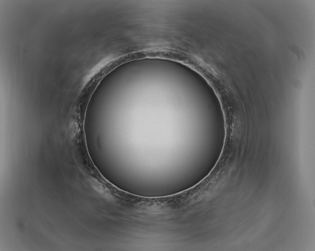 X0000113941400200909251230