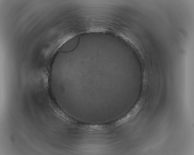 X0000113941401200909251230