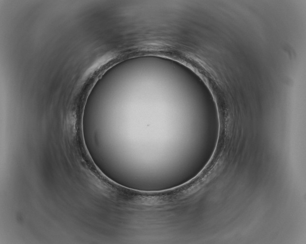 X0000113941402200909251230
