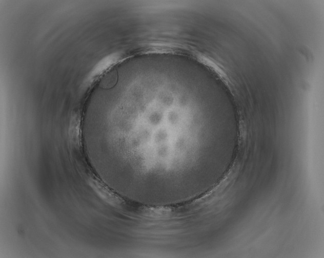 X0000113941403200909251231