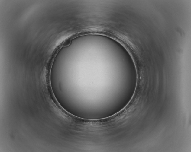 X0000113941404200909251231