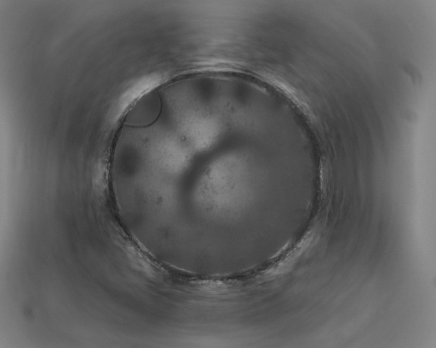 X0000113941405200909251231