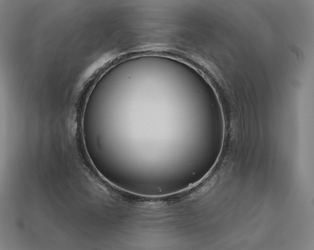 X0000113941406200909251231