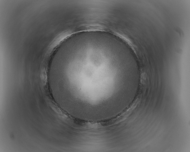 X0000113941407200909251231