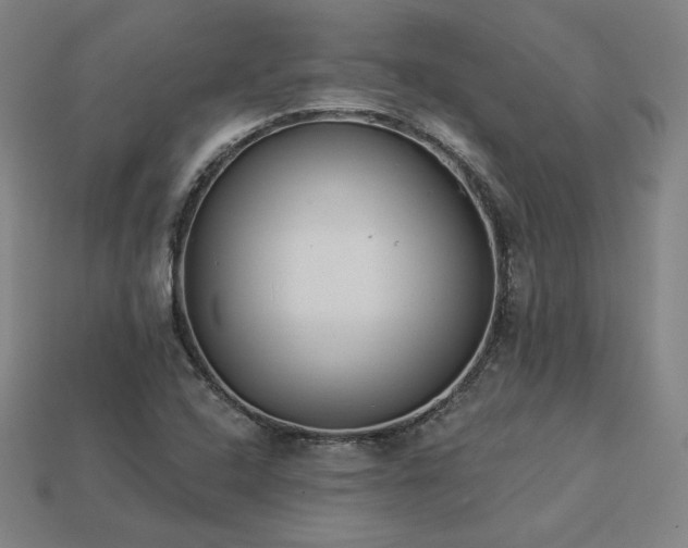 X0000113941408200909251231