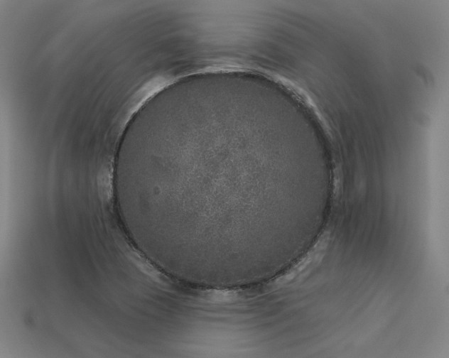 X0000113941409200909251231