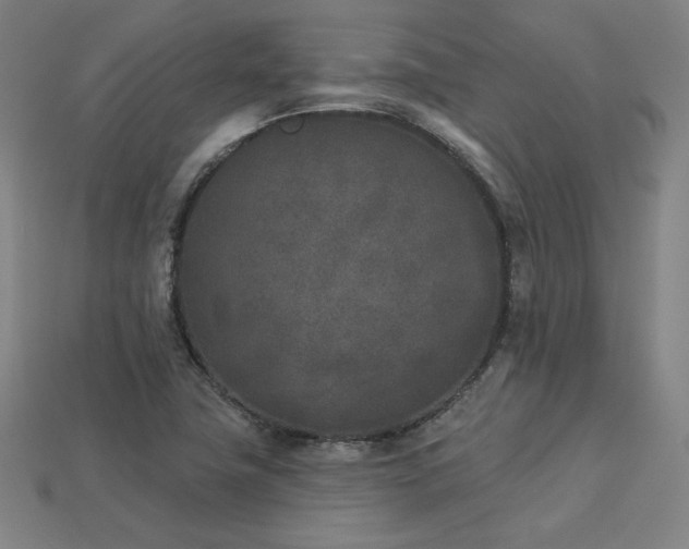 X0000113941411200909251231