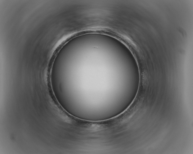 X0000113941412200909251231