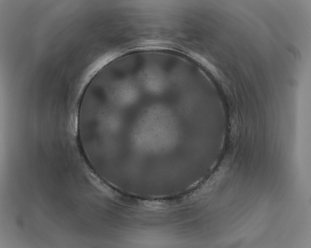 X0000113941413200909251231