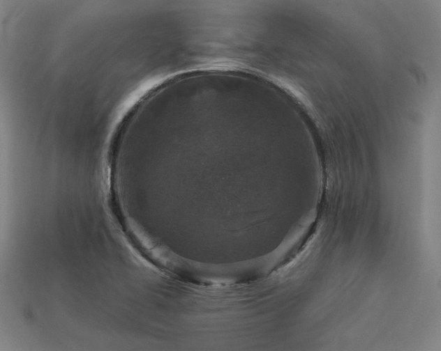 X0000113941414200909251231