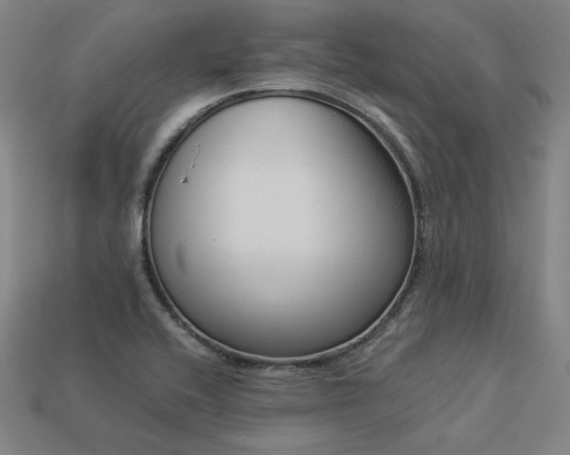 X0000113941416200909251231