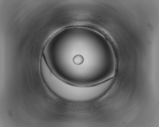 X0000113941417200909251231