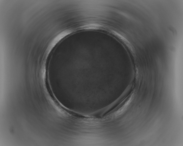 X0000113941418200909251231