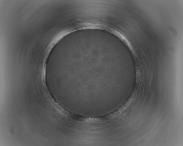 X0000113941419200909251231