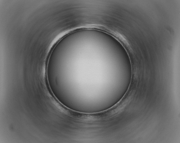 X0000113941420200909251231