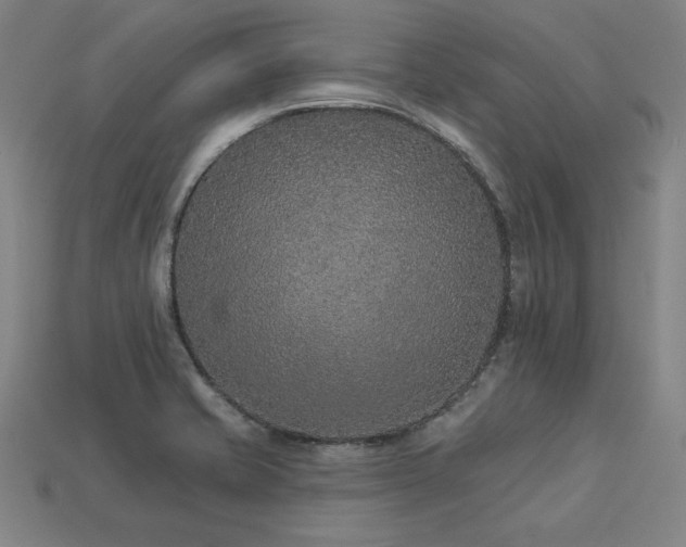 X0000113941421200909251231