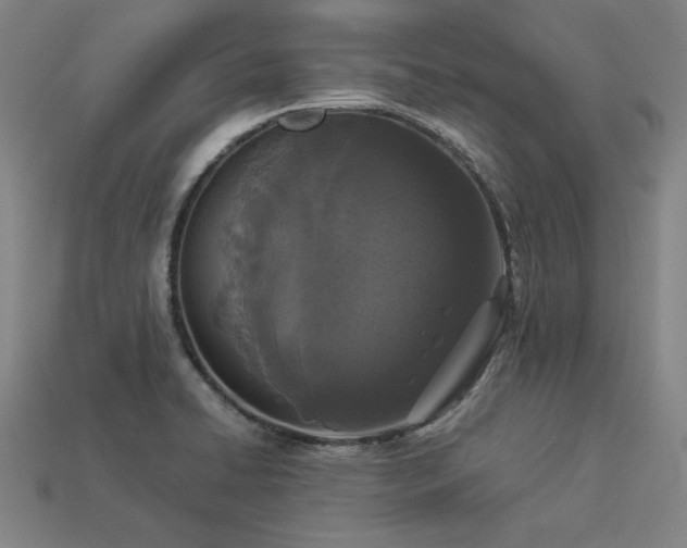 X0000113941422200909251231