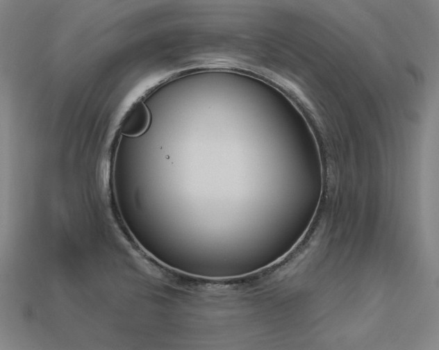 X0000113941424200909251231