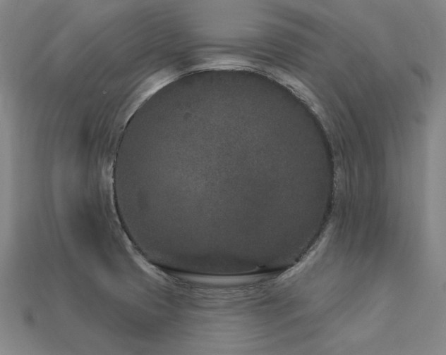 X0000113941425200909251231