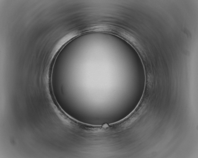 X0000113941426200909251231