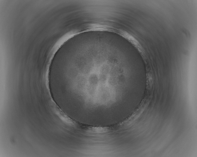 X0000113941427200909251231