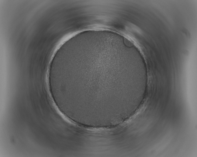 X0000113941429200909251231