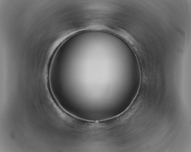 X0000113941430200909251231