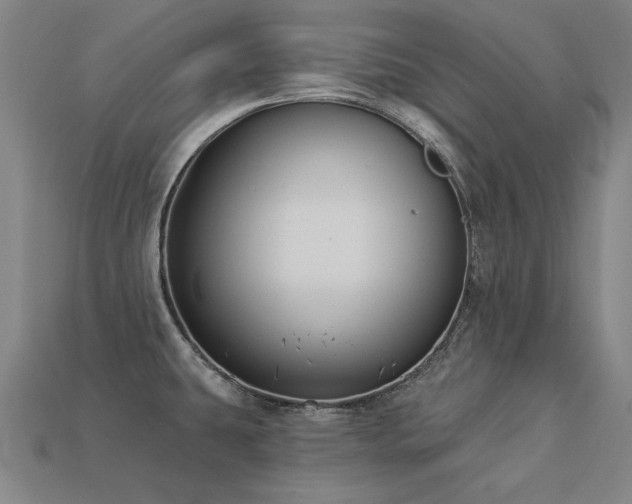 X0000113941431200909251231