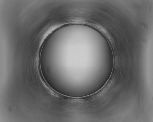 X0000113941432200909251231