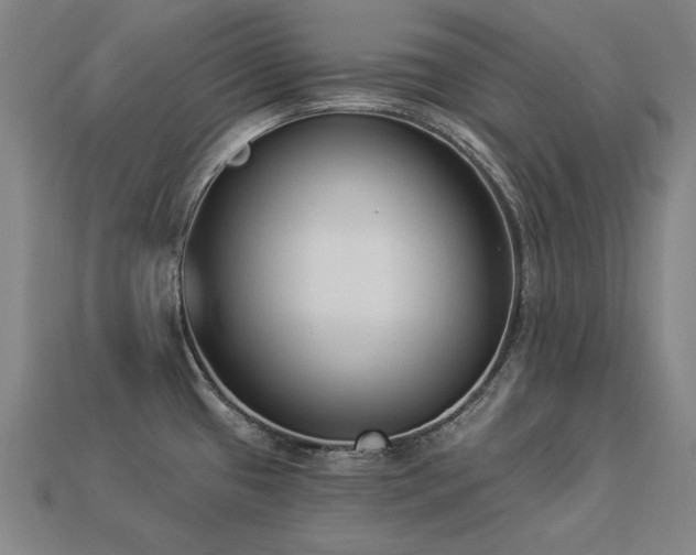 X0000113941433200909251231