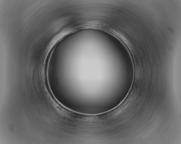 X0000113941434200909251231