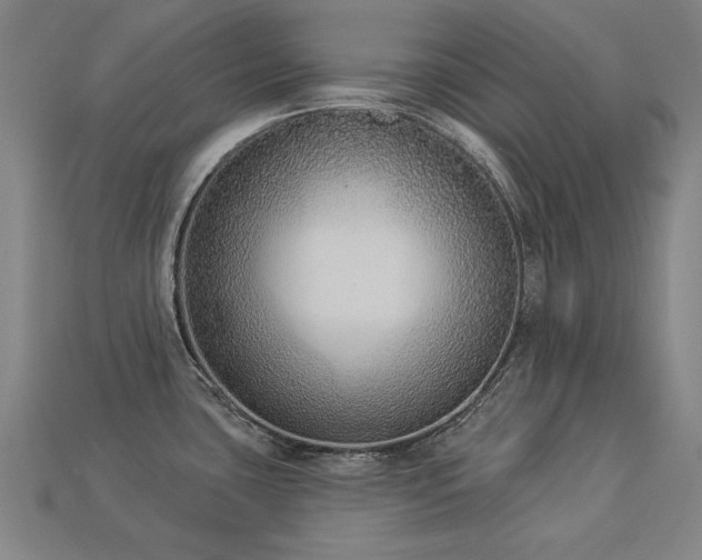 X0000113941435200909251231