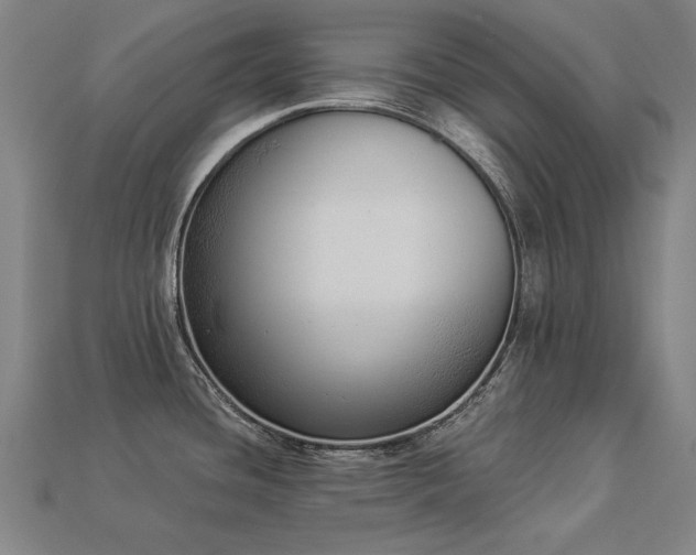 X0000113941436200909251231