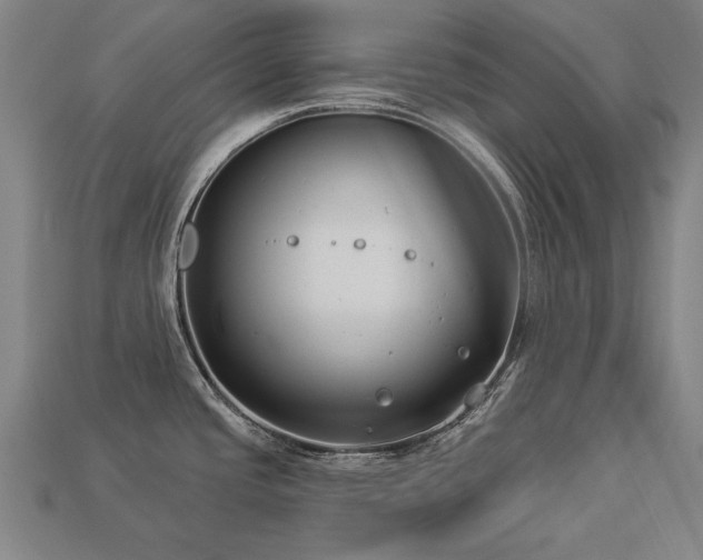 X0000113941437200909251231