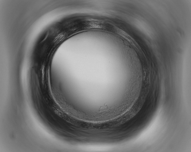 X0000113941439200909251231