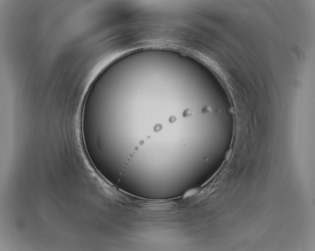 X0000113941440200909251231